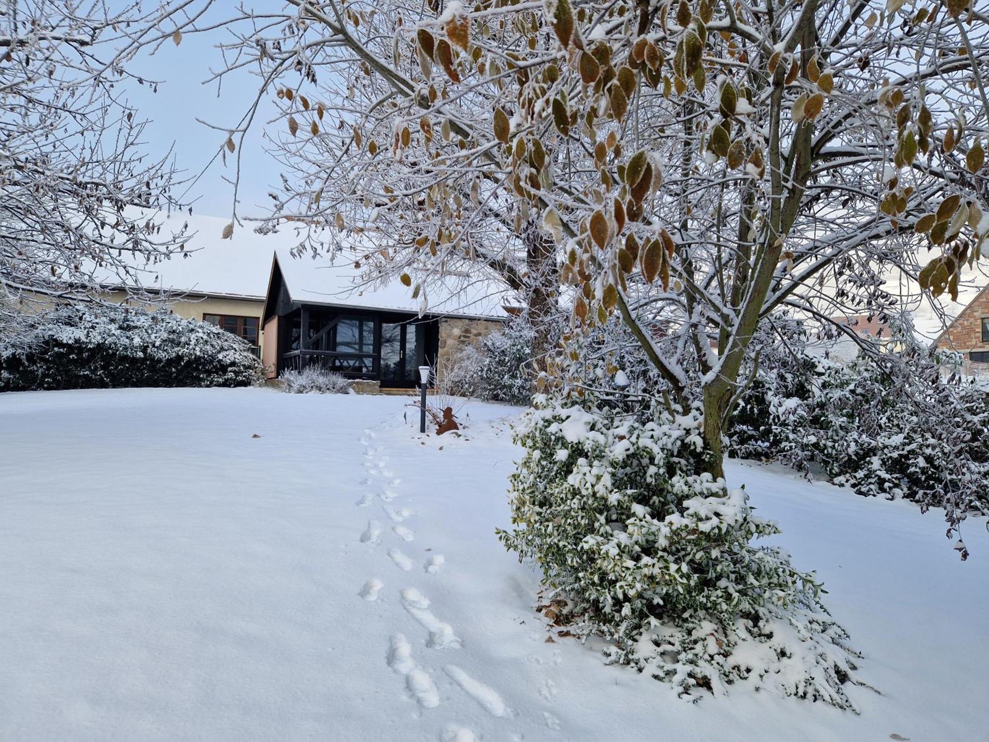 Le Breit Maison De Charme Avec Sa Dependance Breitenbach Bagian luar foto