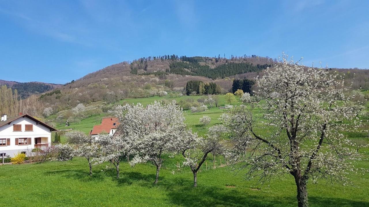 Le Breit Maison De Charme Avec Sa Dependance Breitenbach Bagian luar foto